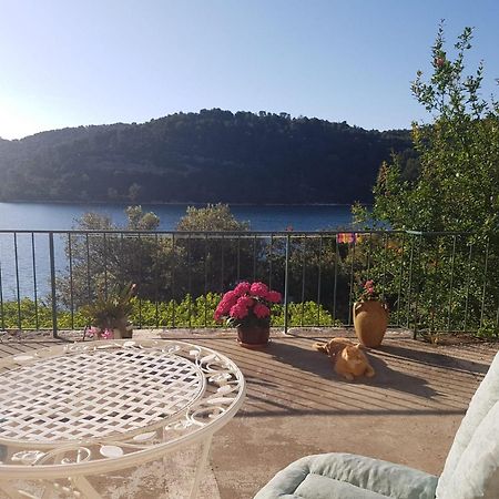Guest House Busurelo Polače Δωμάτιο φωτογραφία