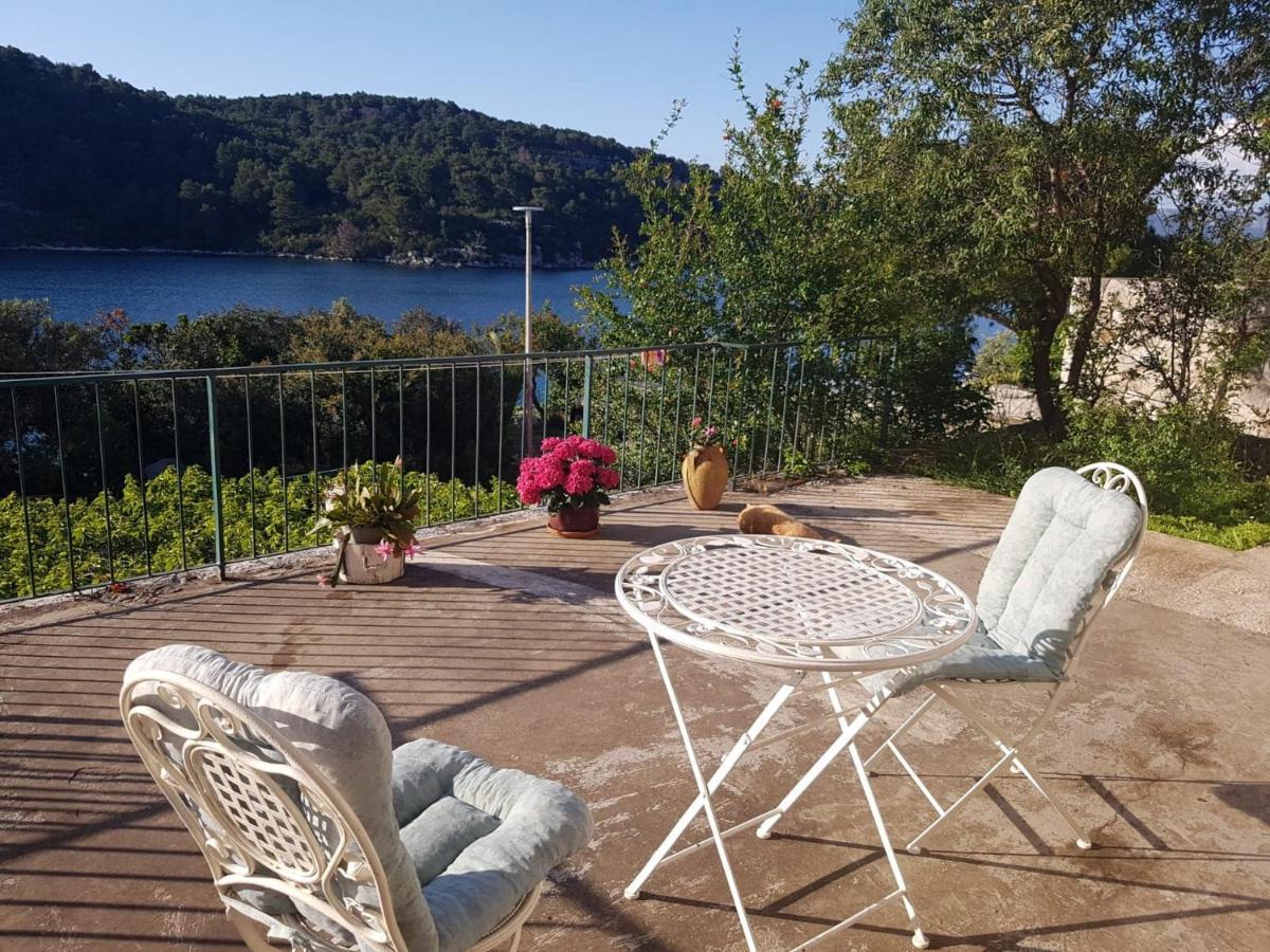 Guest House Busurelo Polače Δωμάτιο φωτογραφία