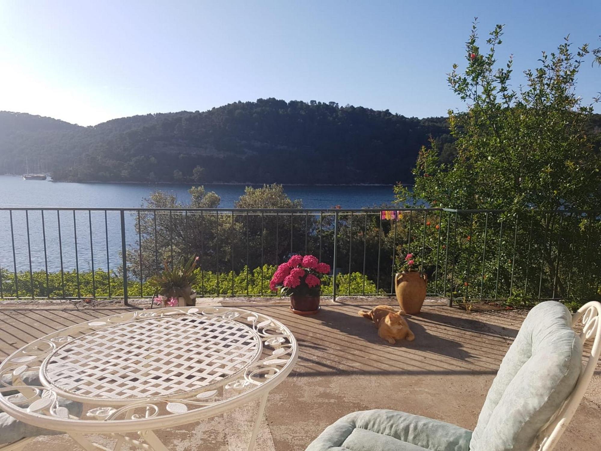 Guest House Busurelo Polače Δωμάτιο φωτογραφία